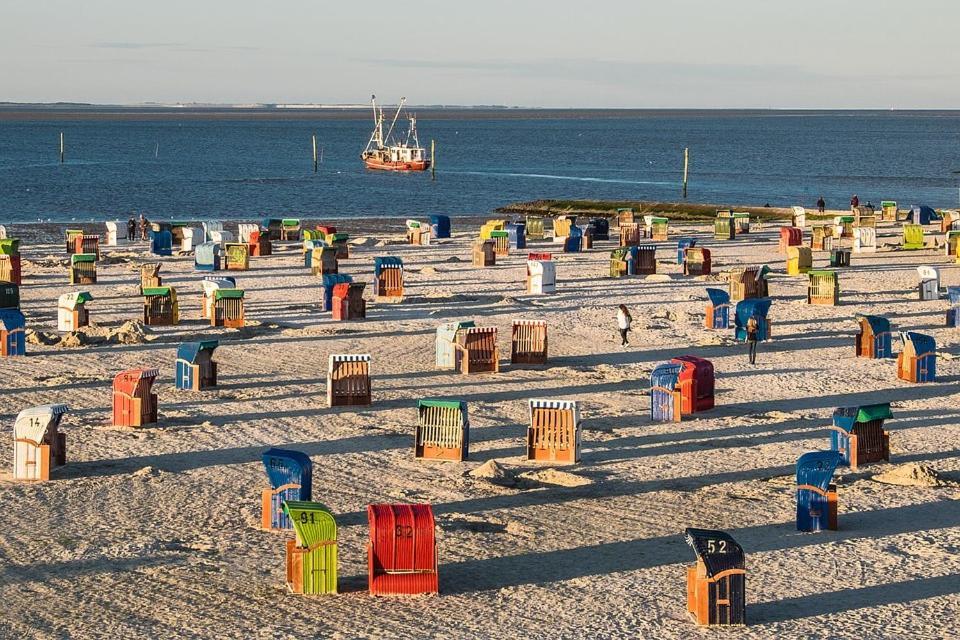 Nordsee-nest Apartment *