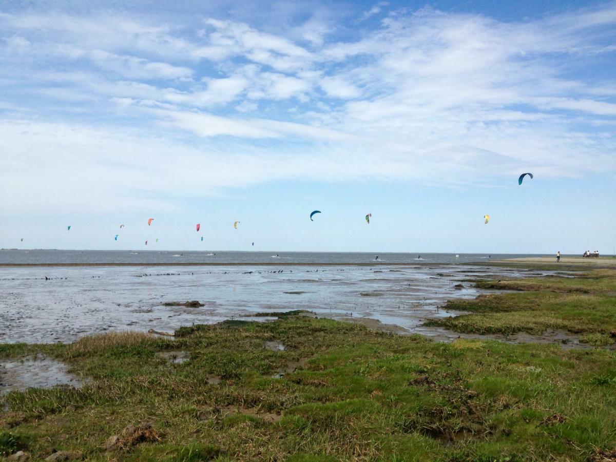 Nordsee-nest Apartment