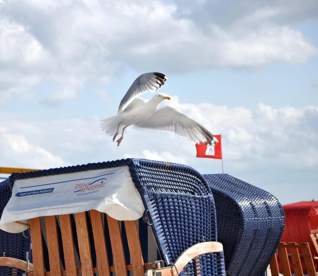 Apartment Nordsee-nest *